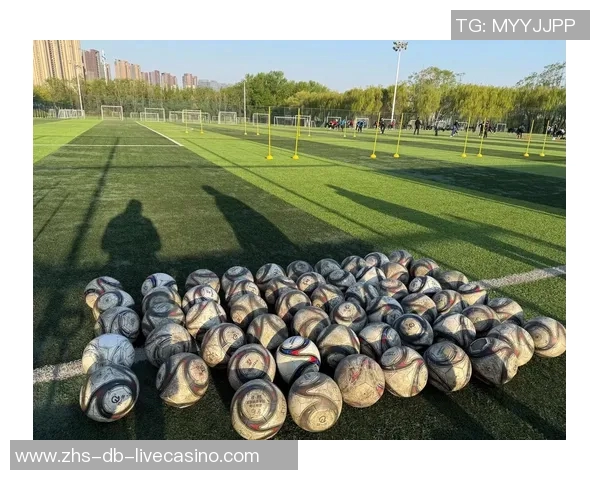 辽宁足球崛起之路探秘：从青训体系到职业联赛的全景分析